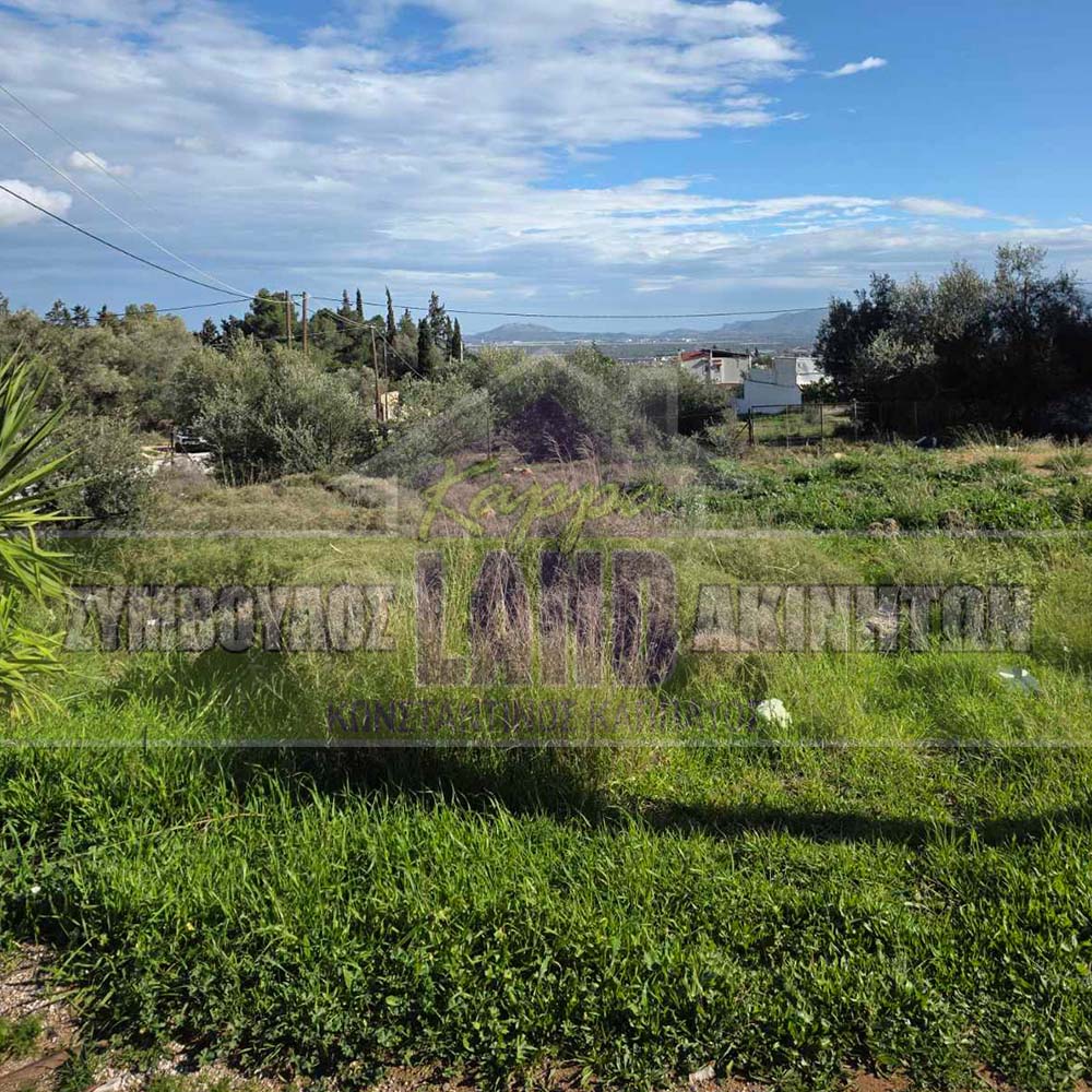 KappaLand - Σύμβουλος Ακινήτων - Κωνσταντίνος Καππάτος