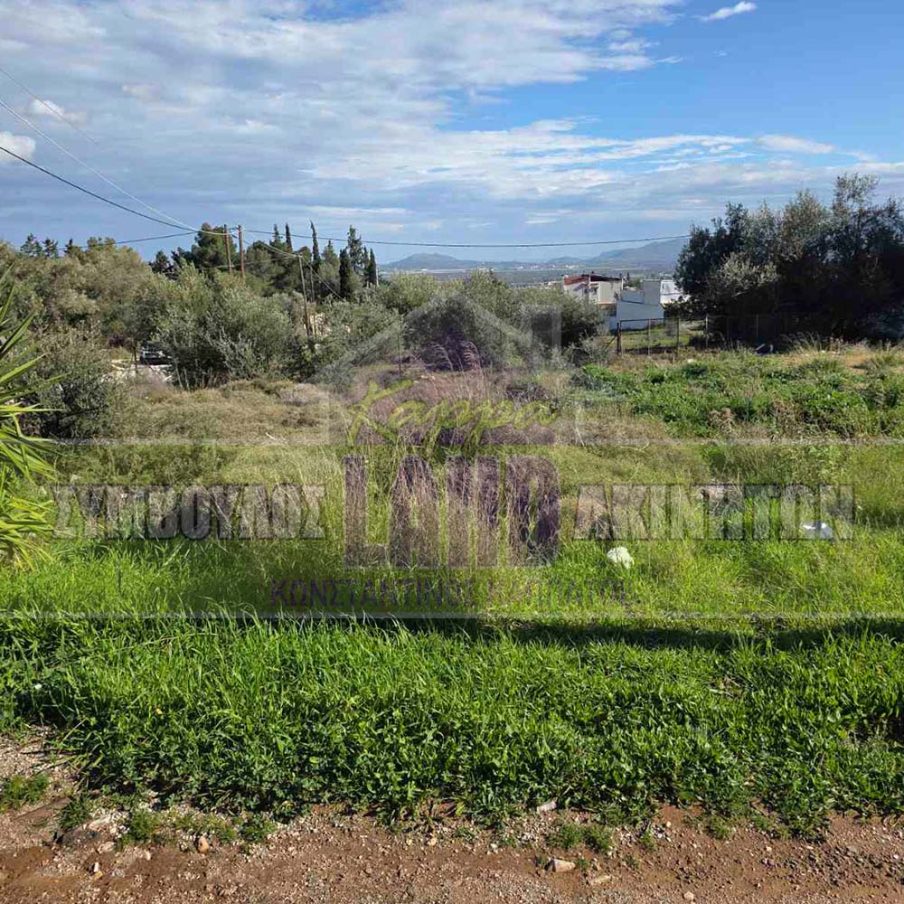 KappaLand - Σύμβουλος Ακινήτων - Κωνσταντίνος Καππάτος