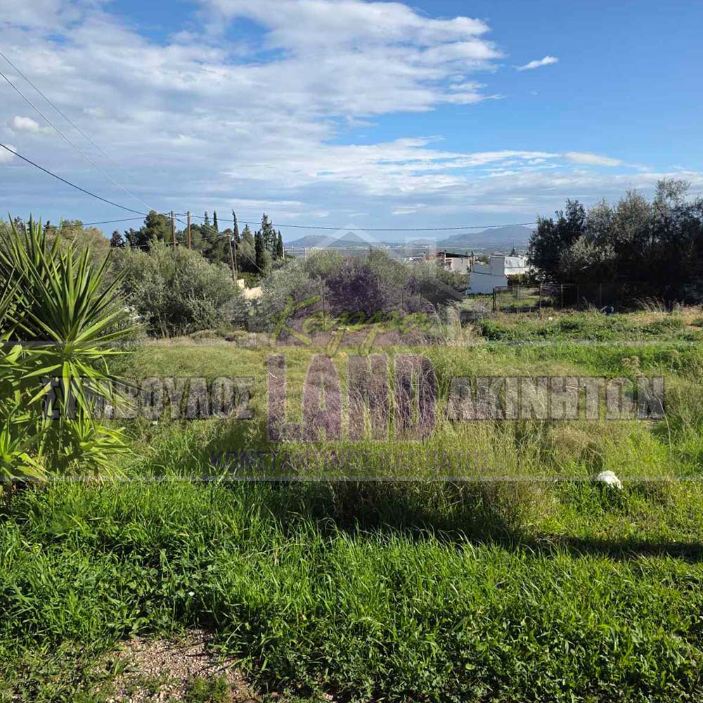 KappaLand - Σύμβουλος Ακινήτων - Κωνσταντίνος Καππάτος