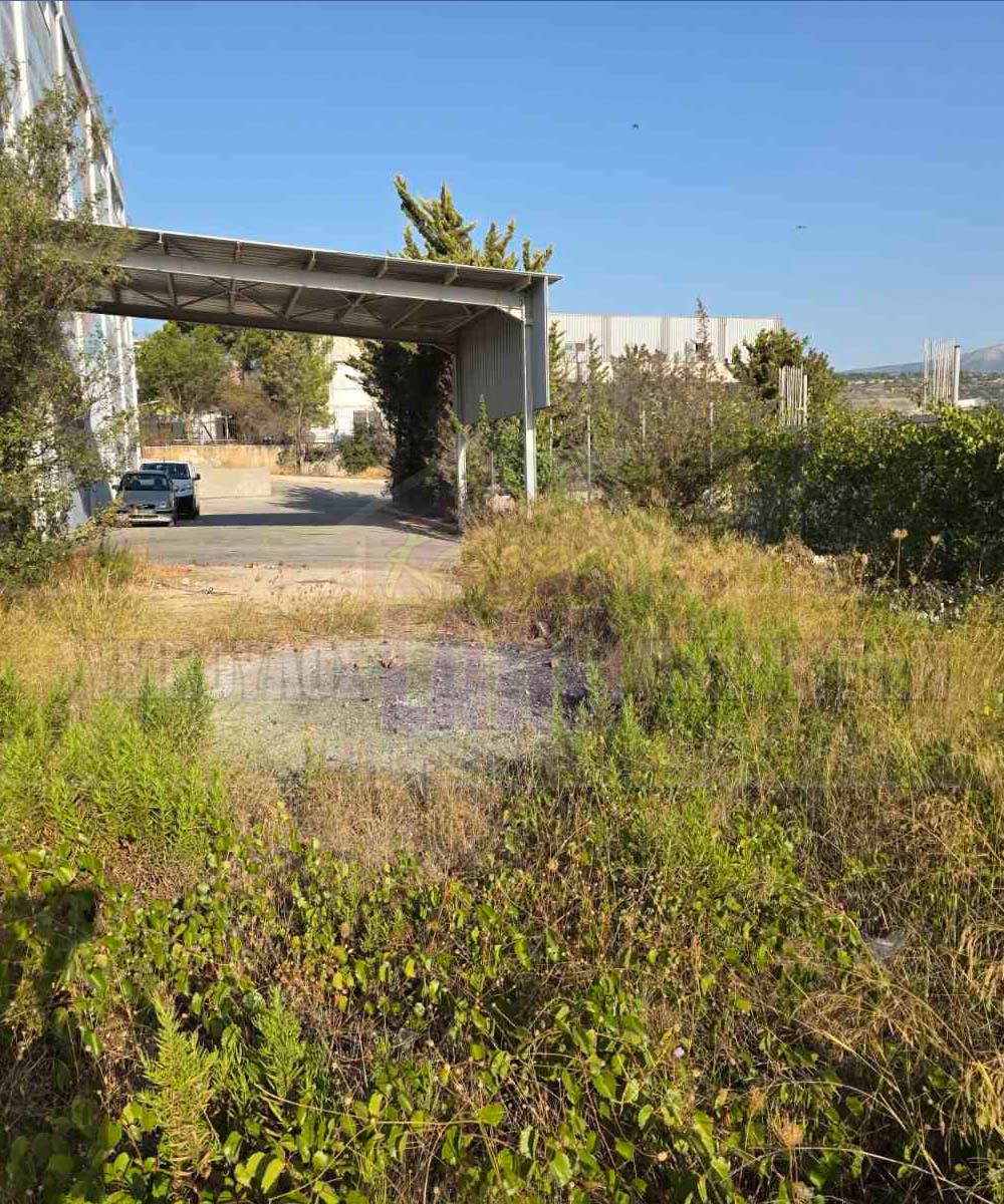 KappaLand - Σύμβουλος Ακινήτων - Κωνσταντίνος Καππάτος