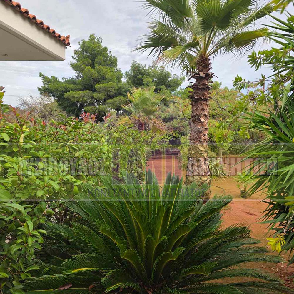 KappaLand - Σύμβουλος Ακινήτων - Κωνσταντίνος Καππάτος