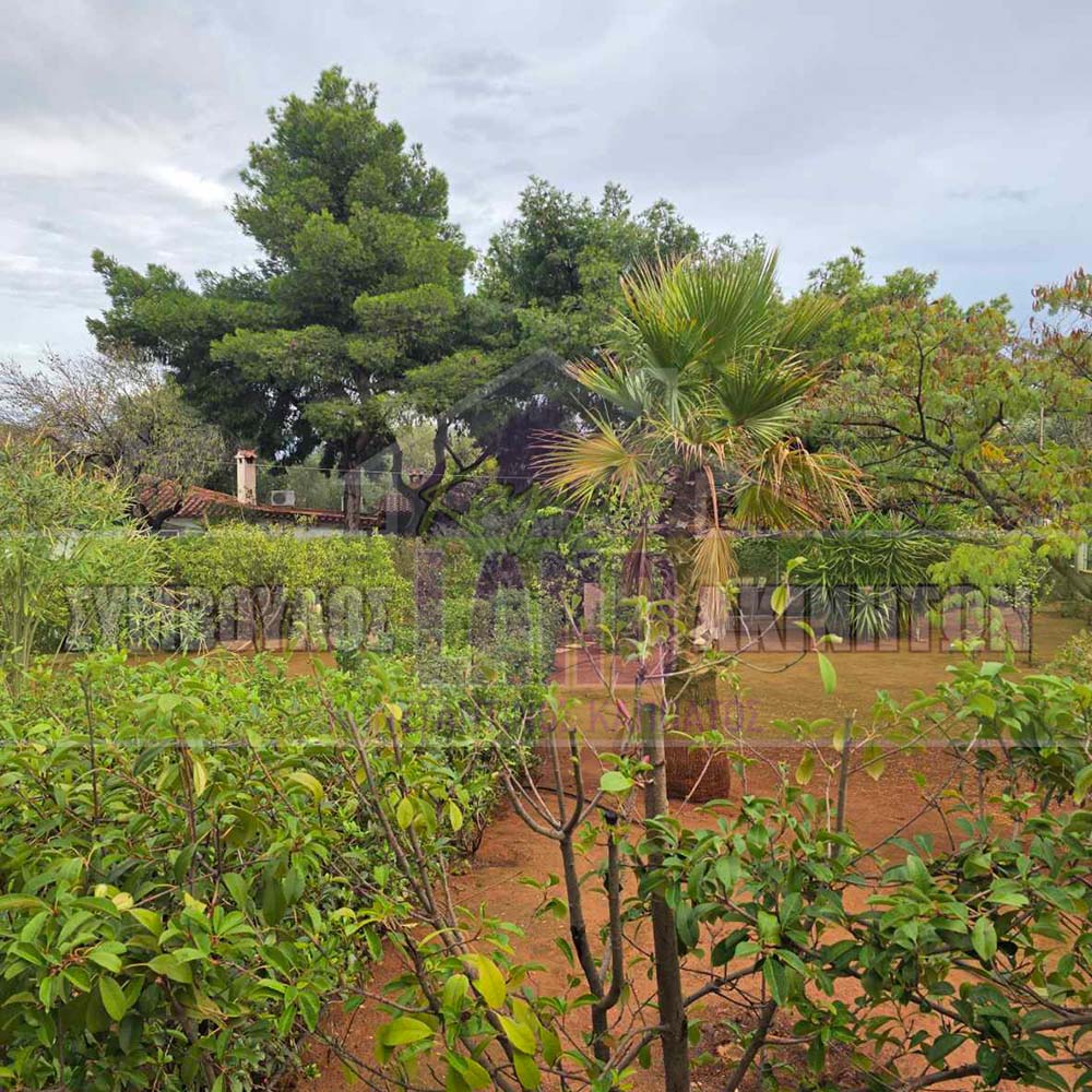 KappaLand - Σύμβουλος Ακινήτων - Κωνσταντίνος Καππάτος